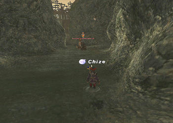20100309-22.jpg