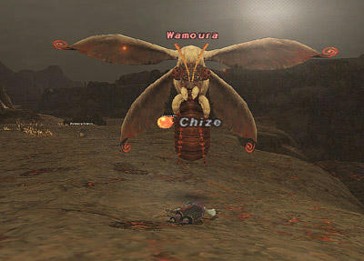 20100810-10.jpg