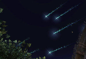 20100818-05.jpg