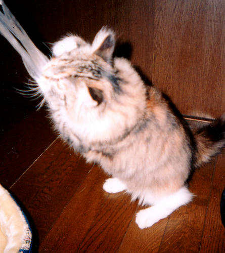 hoto05.jpg