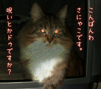 f5772c8ejpeg