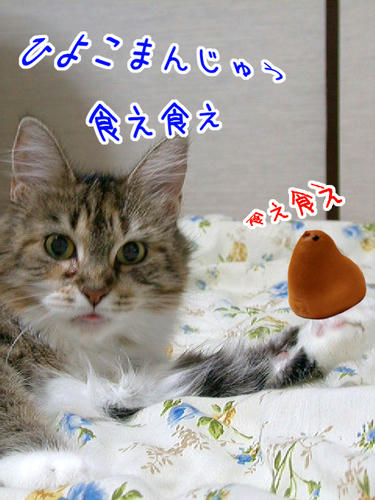 1a67589c.jpeg