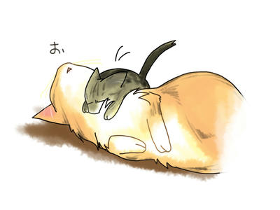 cut02.jpg