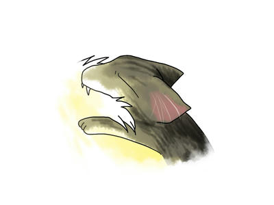 cut03.jpg