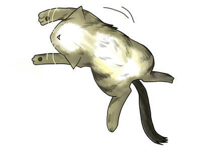 cut05.jpg