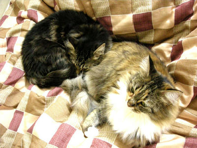 DSCN1272.jpg