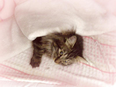 DSCN1318.jpg
