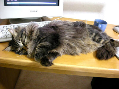 DSCN1298.jpg