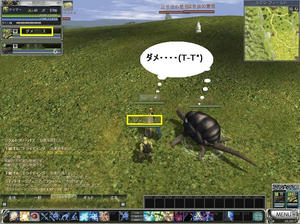 rappelz_screen00000008.JPG