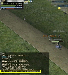 rappelz_screen00000020.JPG