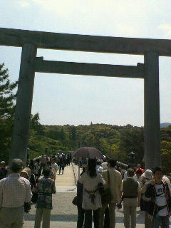 torii.jpg
