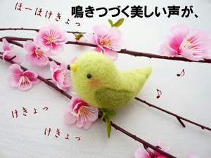 0c85aa05.jpg