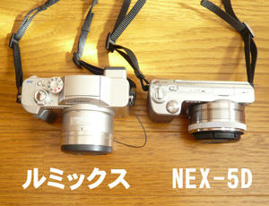 NEX-5D.jpg