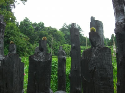 s-CIMG2000.jpg