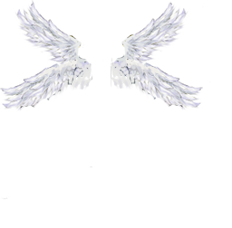 white_fether_01.png
