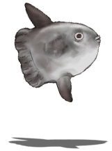 b_manbou.png