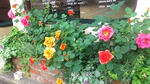 DSC_1102.JPG