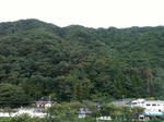 IMG_0193.JPG