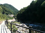 IMG_0252.JPG