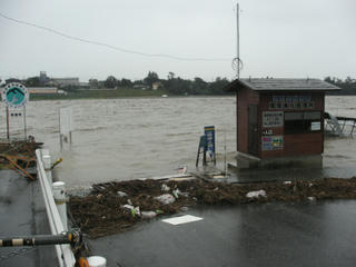 KIF_7950.JPG
