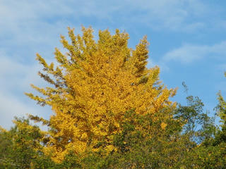 IMG_3283.JPG