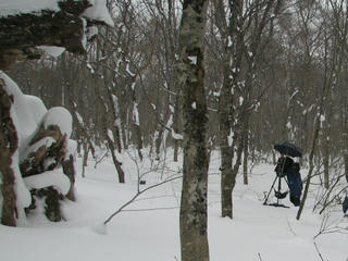 IMG_3871a.JPG