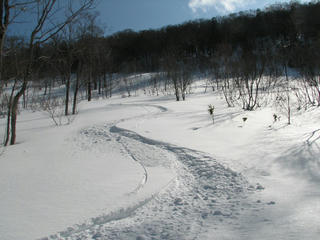 IMG_3877.JPG