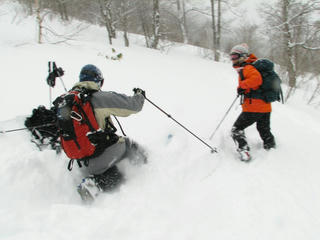 IMG_3971.JPG
