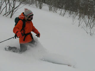 IMG_4005.JPG