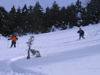 IMG_1025.JPG