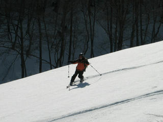 IMG_4471.JPG