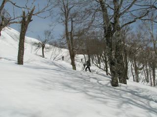 IMG_4480.JPG