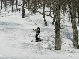 IMG_4481.JPG