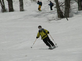 IMG_4501.JPG