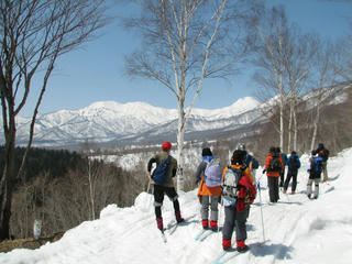 IMG_4620.JPG
