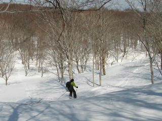 IMG_4622.JPG