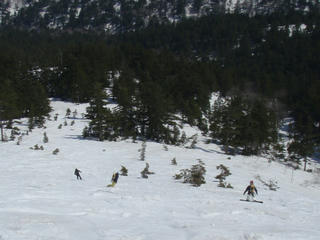 P4290447.JPG