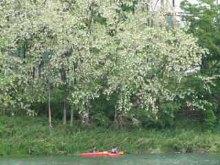 IMG_4993.JPG