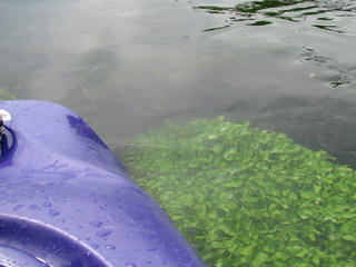 IMG_7046.JPG