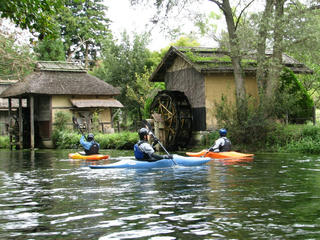 IMG_7060.JPG