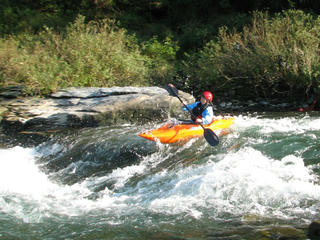 IMG_7296.JPG