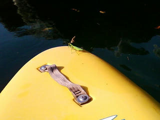 20081016141452.jpg