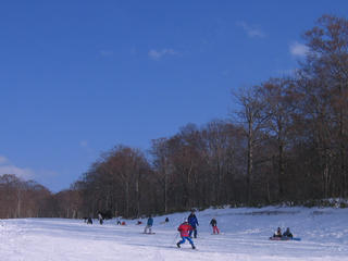 IMG_1384.JPG