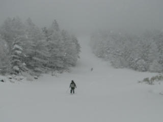 IMG_7877.JPG