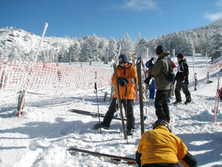 IMG_7843.JPG