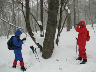IMG_7884.JPG