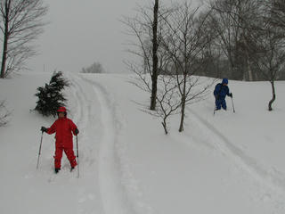 IMG_7886.JPG