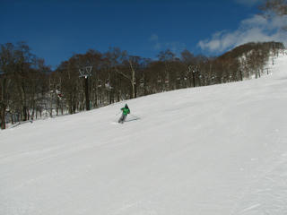IMG_8016.JPG