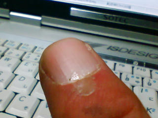 20090130165351.jpg