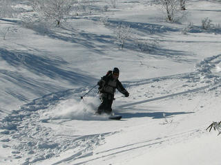 IMG_8327.JPG